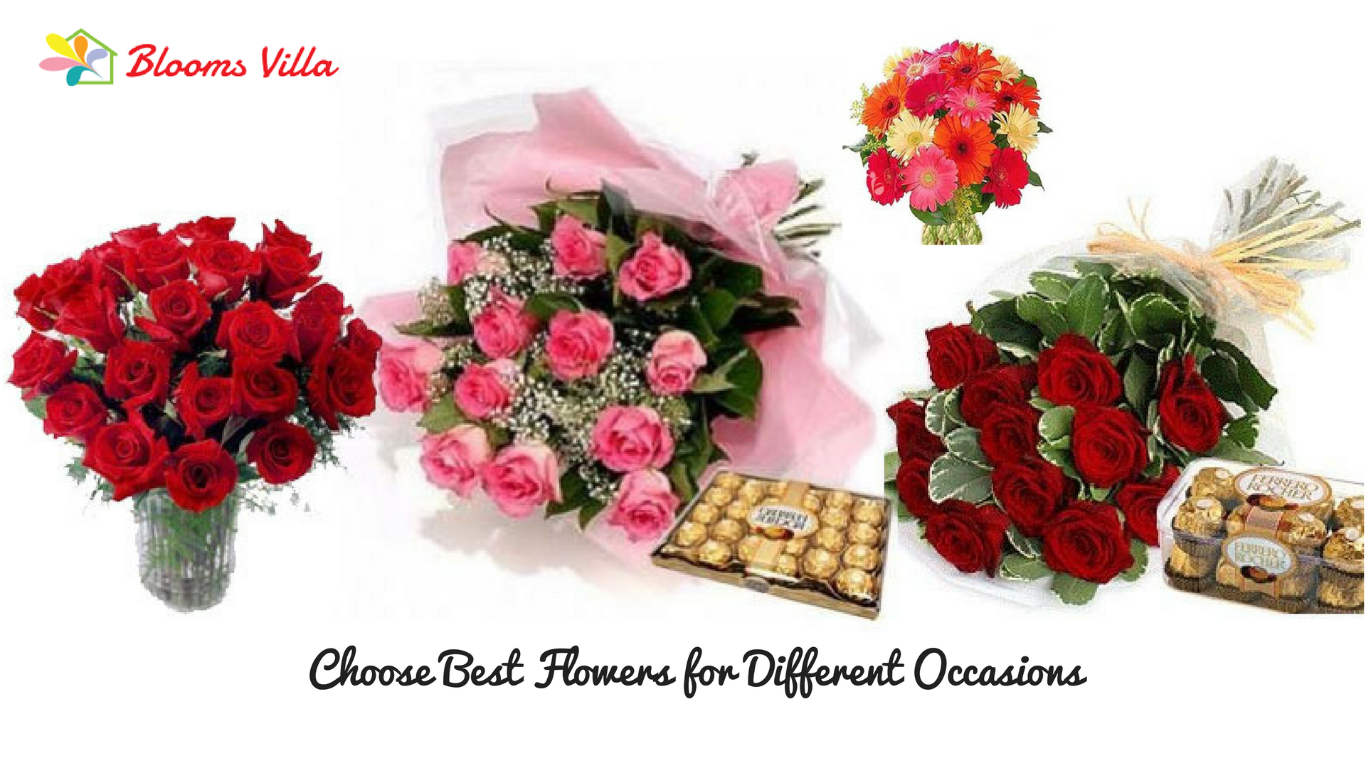 How To Choose Best Flowers for Different Occasions