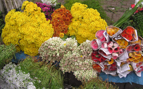 Bangalore Morning Flower Market