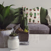 10 Plants you need to decorate your Indoors with Right away!
