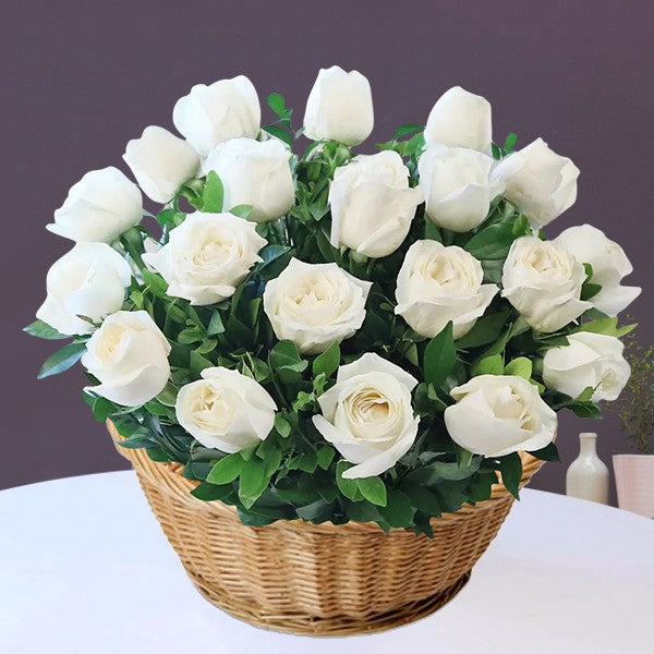 Cute Surprise Gift