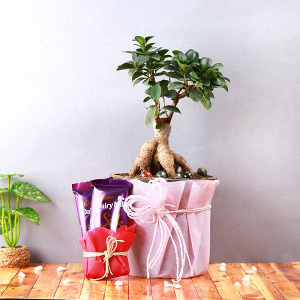 Delightful Surprise Gift
