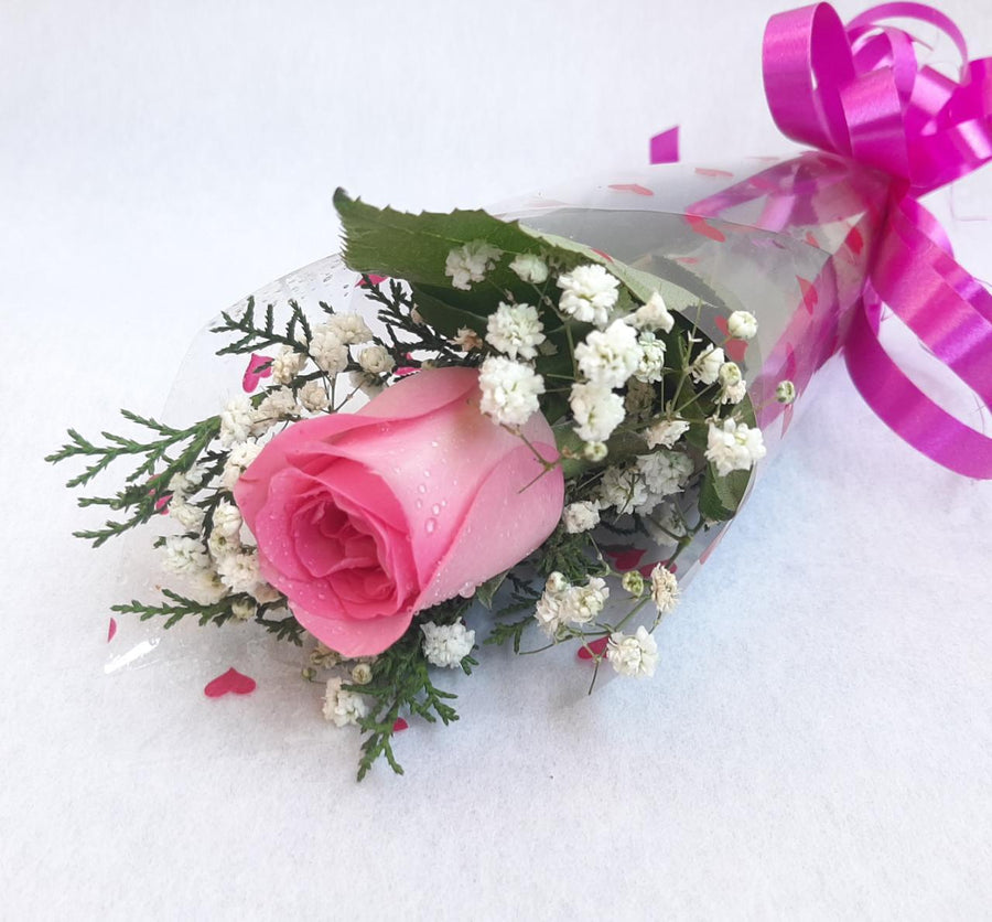 Sweet Pink Women's Day Rose