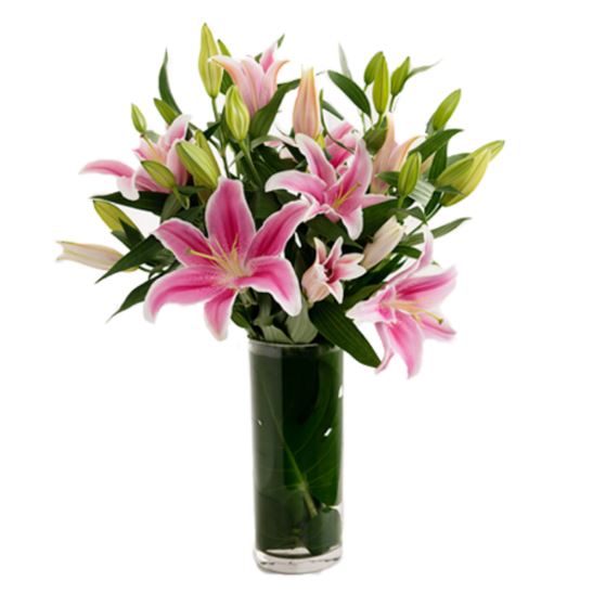 Pleasurable Lilies For My Daughter