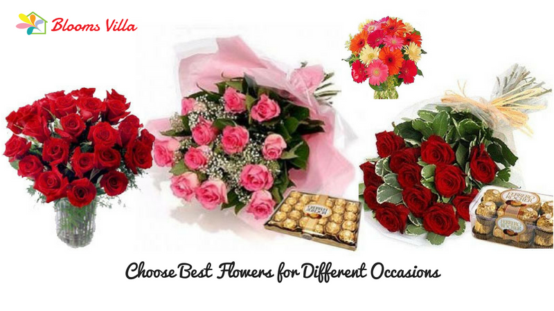 How To Choose Best Flowers for Different Occasions