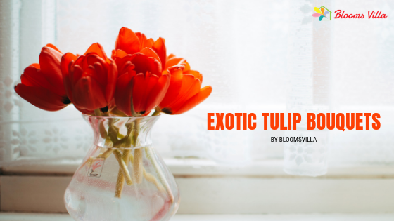Same Day Flower Delivery in Pune of Exotic Tulip Bouquets