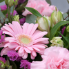 Reasons to Choose Online Flower Delivery Services