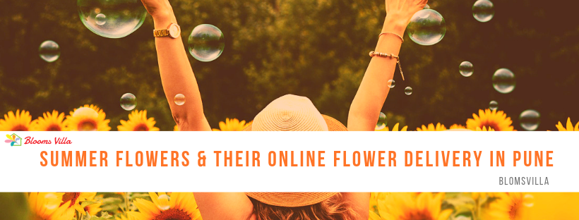 Summer Flowers & Their Online Flower Delivery in Pune