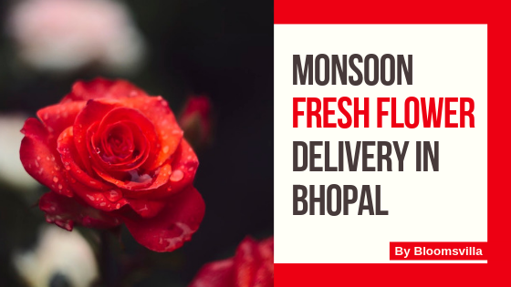 Monsoon Fresh Flower Delivery in Bhopal