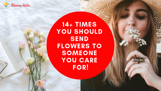 14+ Times you should Send Flowers to Someone You Care For!