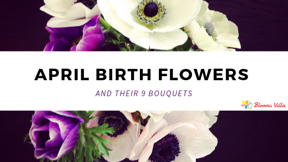 April Birth Flowers and Their 9 Bouquets