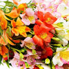 Flower Delivery In Gurgaon- Send fresh flowers Using BloomsVilla