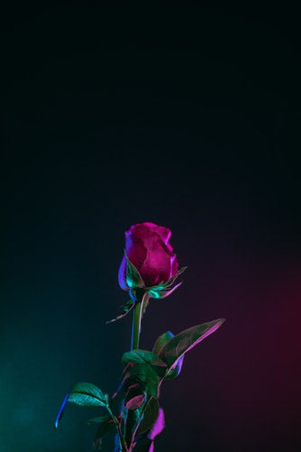 Packaging Hacks for Midnight Flower Delivery