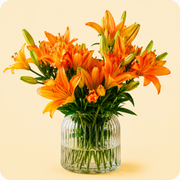 Lilies