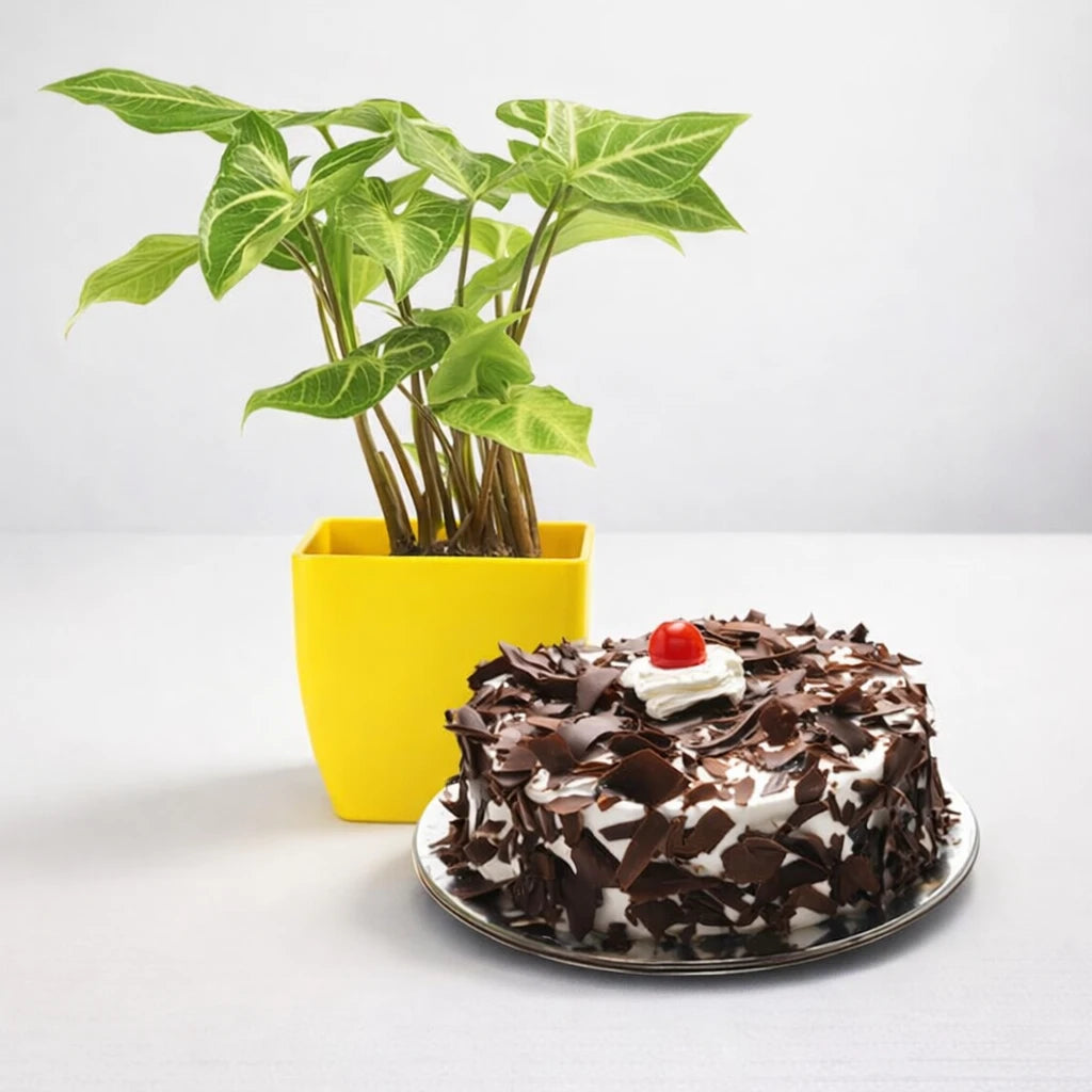 Pure Janmashtami Love Gift [Bloomcentral AI 3ed1d89e]