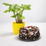 Pure Janmashtami Love Gift [Bloomcentral AI 3ed1d89e]