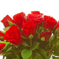 red rose bouquet - Send Flowers to Subcategory | Flowers | Roses | Ahmedabad 