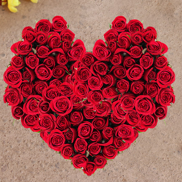 Sorry, I Love You
