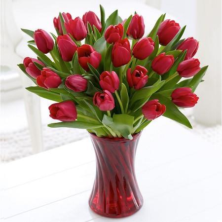 20 Red Tulips In A Glass Vase - from Best Flower Delivery in India 