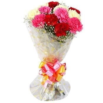 Colorful Carnations