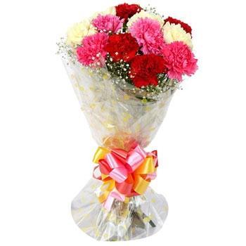 Colorful Carnations - from Best Flower Delivery in India 