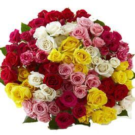 100 Mix Color Roses Premium Bunch