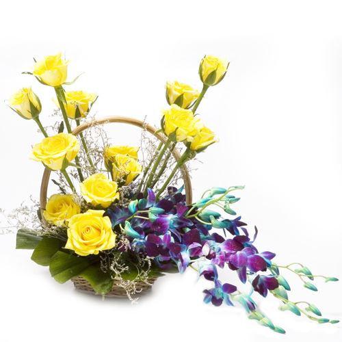 Amazing Basket Love