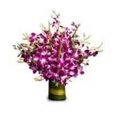 Amazing Orchids Vase