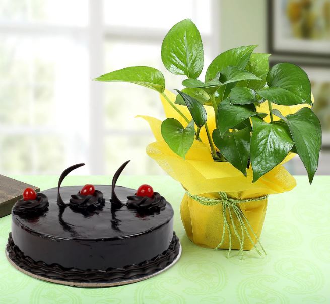 Congratulation Wishes