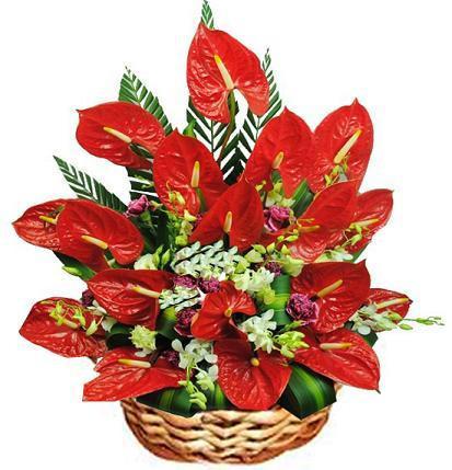 Excellent Basket - for Online Flower Delivery In India 