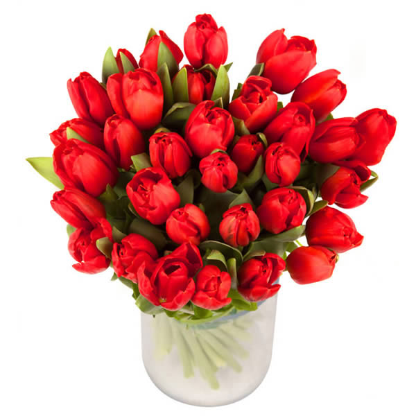 Executive Red Petals - Send Flowers to India 