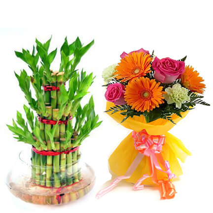 Colorful Janmashtami Gift