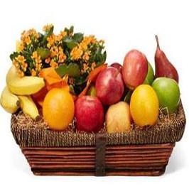 Long Basket Of Fresh Fruits 6 Kg