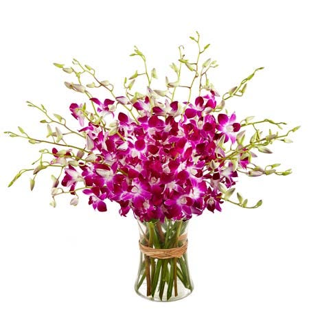 Fabulous Orchids - for Online Flower Delivery In India 