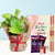 Gift For My Best Brother- Online Flower Delivery In Occasion | Rakhi | Rakhi with Plants -This Beautiful Rakhi Combo Gift consists of: Two Pieces Rakhi 2 Pieces Dairy Milk(12.5 gm each) 1 Money Plant Shipping Instructions (ONLY in case of Courier Delivery): Soon after the order has been dispatched, you will receive a tracking number that will help you trace your gift. Since this product is shipped using the services of our courier partners, the date of delivery is an estimate. We will be more than happy to replace a defective product, please inform us at the earliest and we shall do the needful. Deliveries may not be possible on Sundays and National Holidays. Kindly provide an address where someone would be available at all times since our courier partners do not call prior to delivering an order. Redirection to any other address is not possible. Exchange and Returns are not possible. Note: The photos are indicative. Occasionally, we may need to substitute product with equal or higher value due to temporary and/or regional unavailability issues. 
