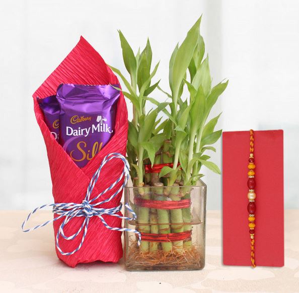 Good Luck Choco Treat - for Online Flower Delivery In India 