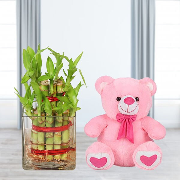 Good Luck Teddy Love