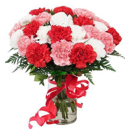 Best Wishes For You