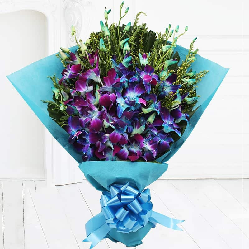 Lovely Orchid Mania