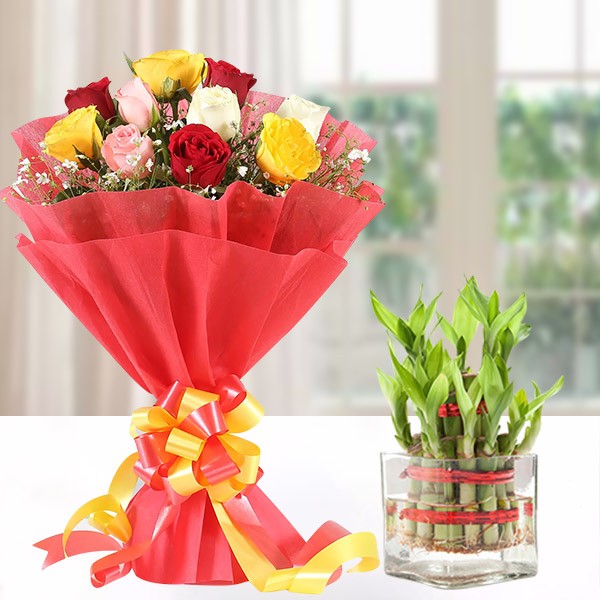 Mix Rose N Plant