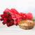 Magnetic Combo- - for Midnight Flower Delivery in India -This Beautiful Combination of Flowers and Dry Fruits consists of 12 Fresh Red Roses Nicely wrapped in a Red paper and Red ribbon bow 500 gms Mix Dry Fruit Basket Note: While we always strive to ensure that products are accurately represented in our photographs, from season to season and subject to availability, our florists may be required to substitute one or more flowers for a variety of equal or greater quality, appearance and value. Also for cakes, Actual design and arrangement might differ based on chef, seasonal elements and ingredient availability. 