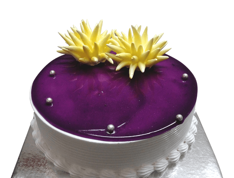 Modern Muse Blackberry Cake