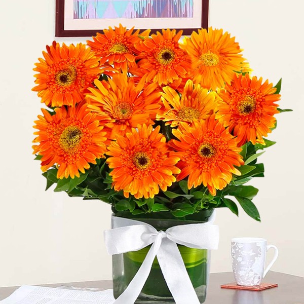 Orange Sweety