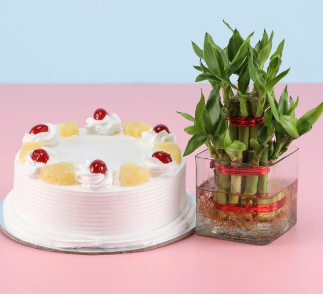 Pineapple Treat With Plant