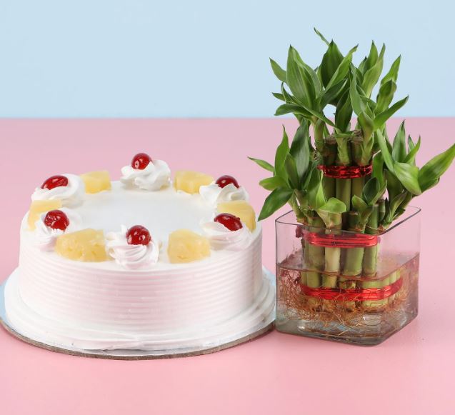 Pineapple Treat With Plant - for Online Flower Delivery In India 