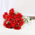 Red Champ- Best Flower Delivery in Category | Flowers | Flowers Below Rs 500 -This Beautiful arrangement of Gerbera consists of 10 Fresh Red Gerbera Nicely tied with a White ribbon bow Note: While we always strive to ensure that products are accurately represented in our photographs, from season to season and subject to availability, our florists may be required to substitute one or more flowers for a variety of equal or greater quality, appearance and value. Also for cakes, Actual design and arrangement might differ based on chef, seasonal elements and ingredient availability. 
