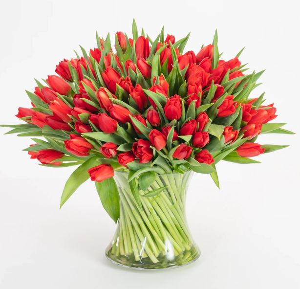 Red Exotica