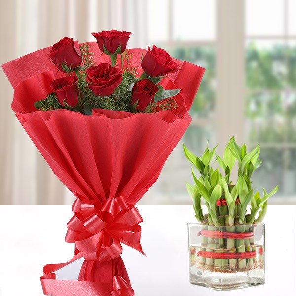Red Green Twist