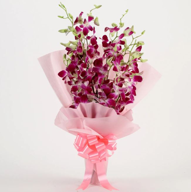 Shining Purple Treat