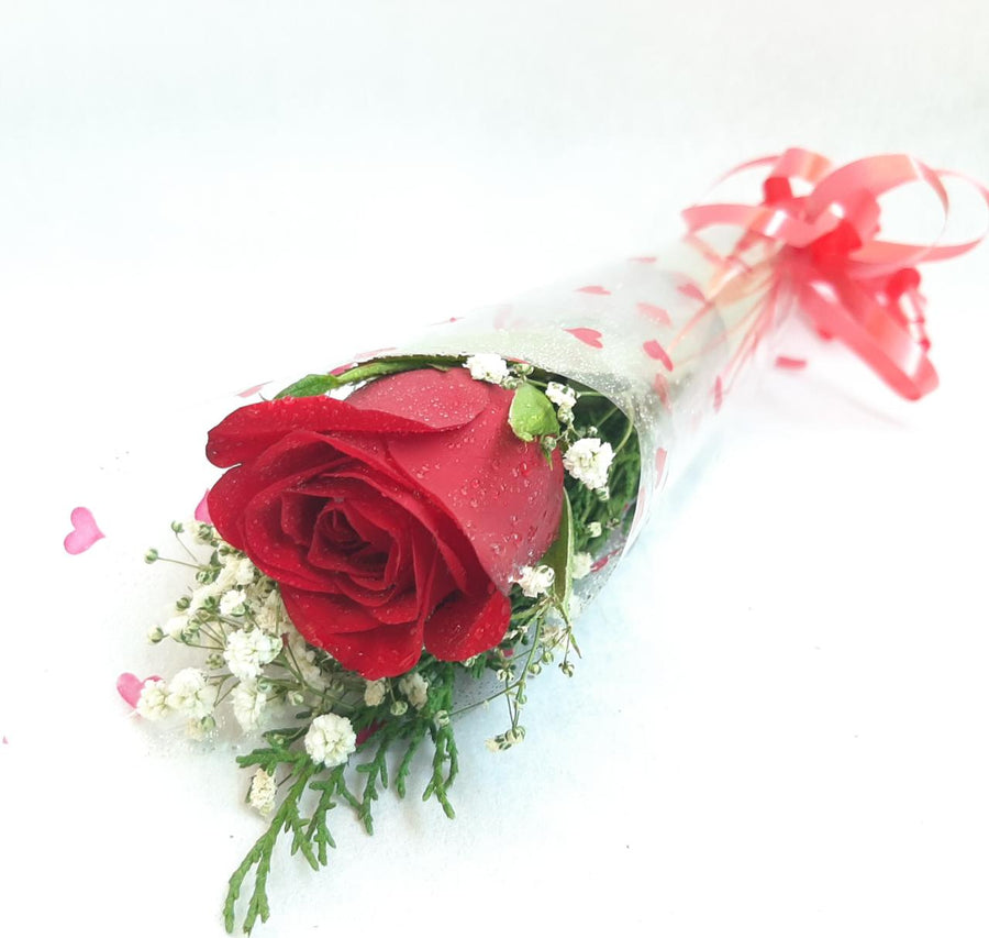 Single Red Rose - Women's Day Flowers - for Midnight Flower Delivery in India 
