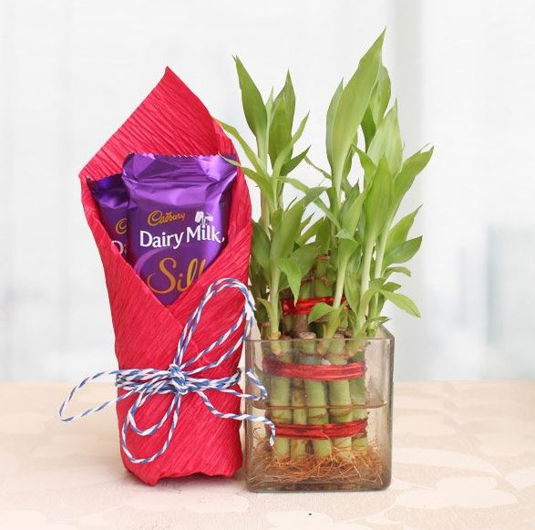 Unique Gift For Dad - from Best Flower Delivery in India 